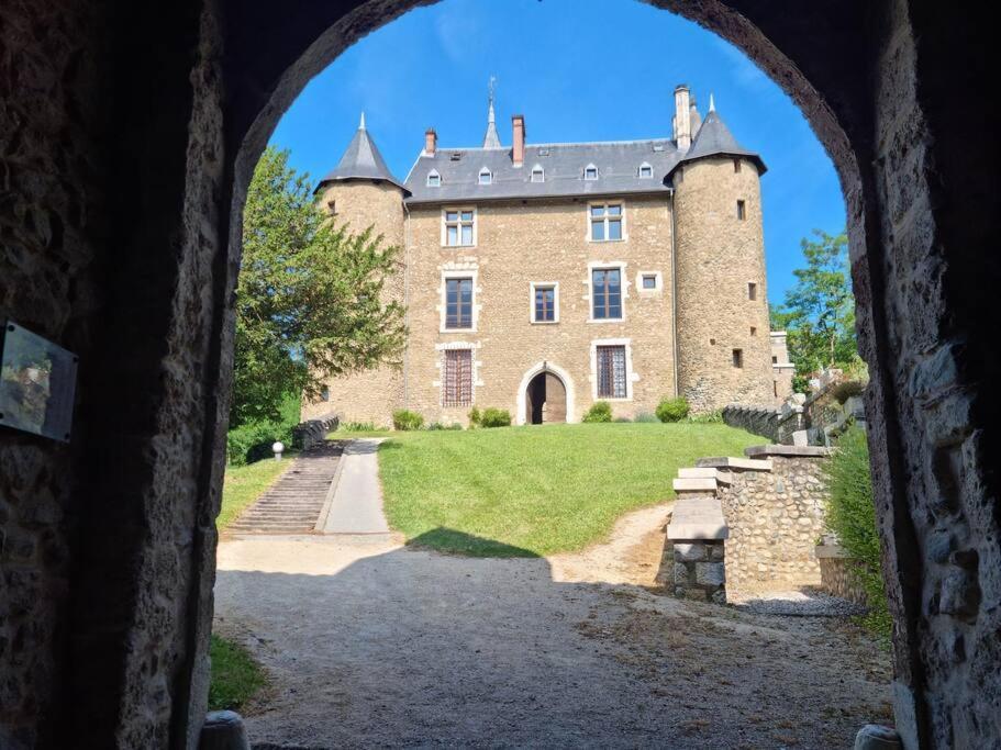 Chateau D'Uriage - Duplex Avec Terrasse Privative Saint-Martin-dʼUriage Eksteriør billede